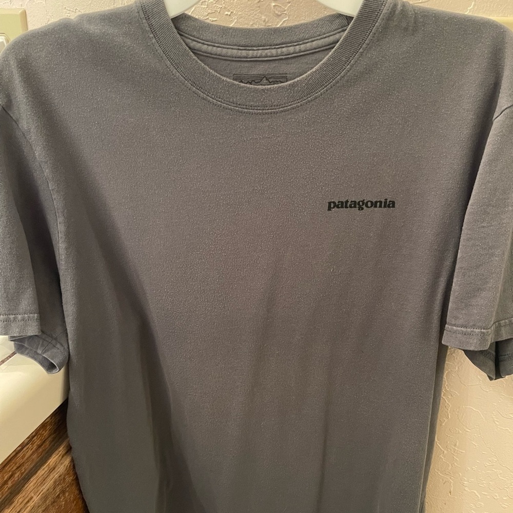 Patagonia t-shirt, grey, no holes or stained. Gently worn condition.